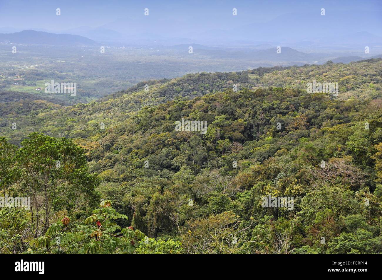 Brasile - giungla in Paranà regione. Marumbi montagne nella Serra do Mar gamma. Colline della foresta pluviale. Foto Stock