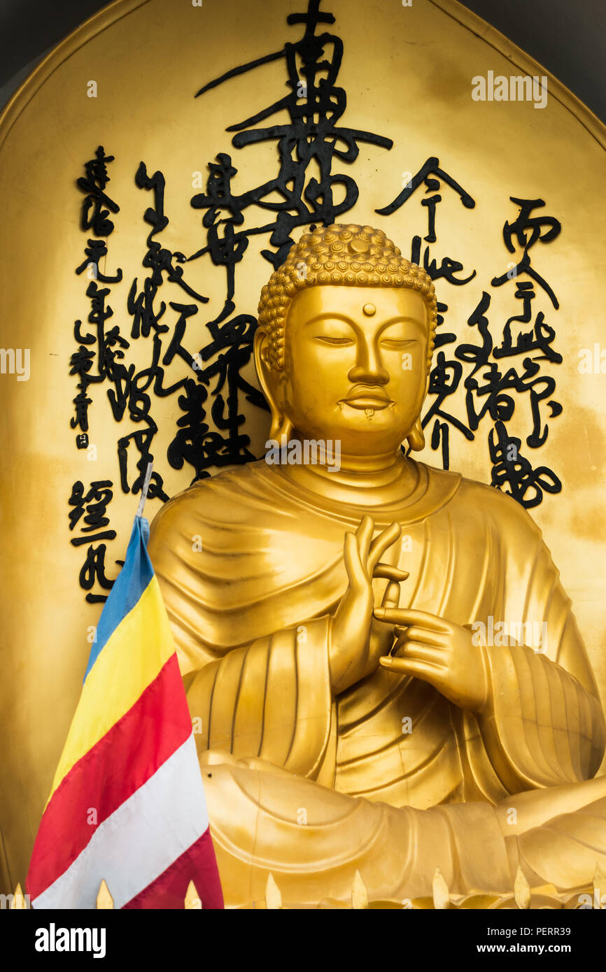Golden statua del Buddha e bandiera buddista al mondo la pace Pagoda di Pokhara, Nepal Foto Stock