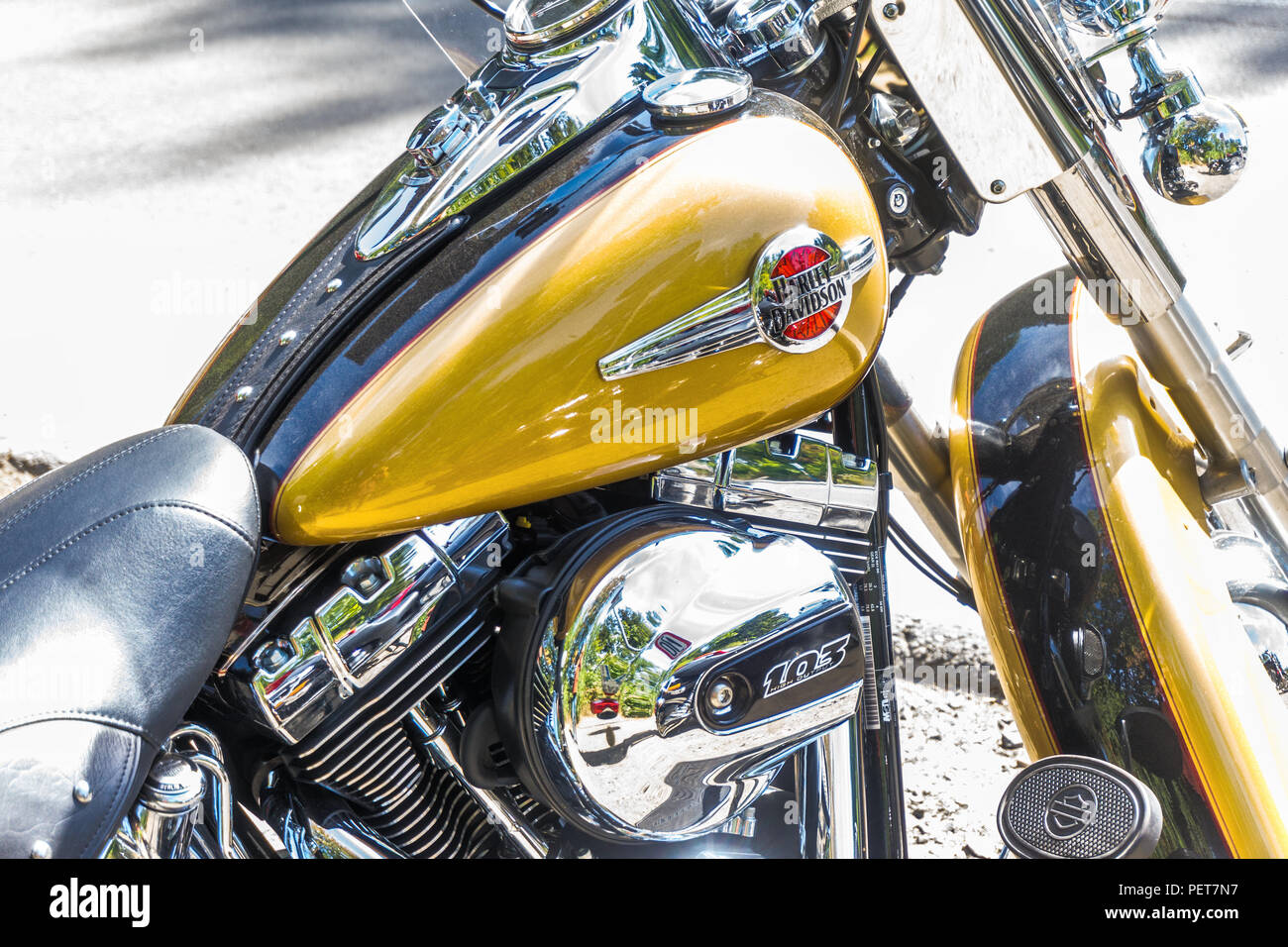 Blocco motore e serbatoio di una Harley Davidson motor cycle. Foto Stock