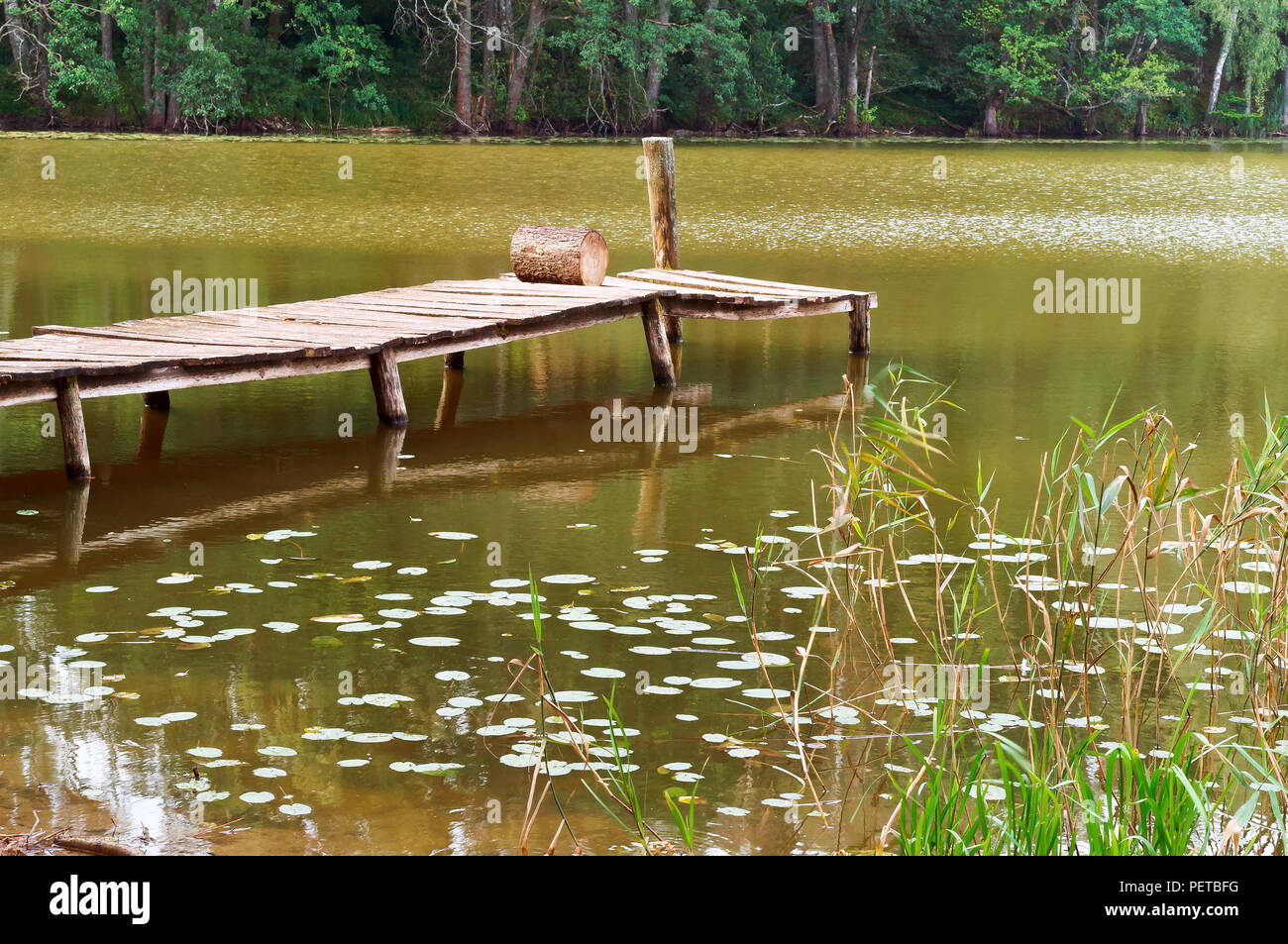 Legno decorativo percorso sul lago, ponte in legno sul fiume Foto Stock