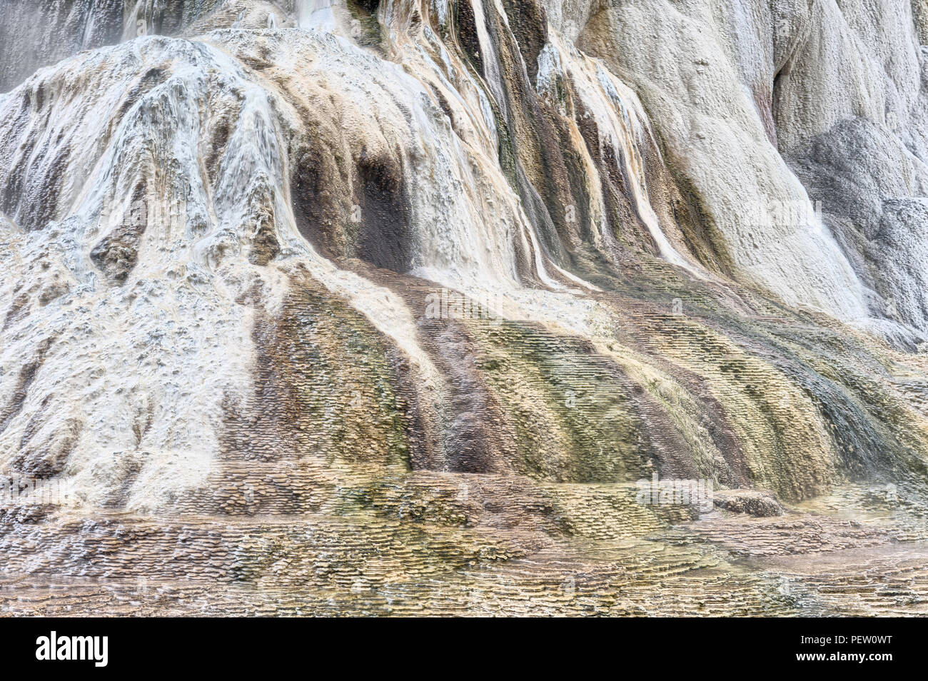 La formazione di depositi minerali, Mammoth Hot Springs, il Parco Nazionale di Yellowstone, Wyoming USA Foto Stock