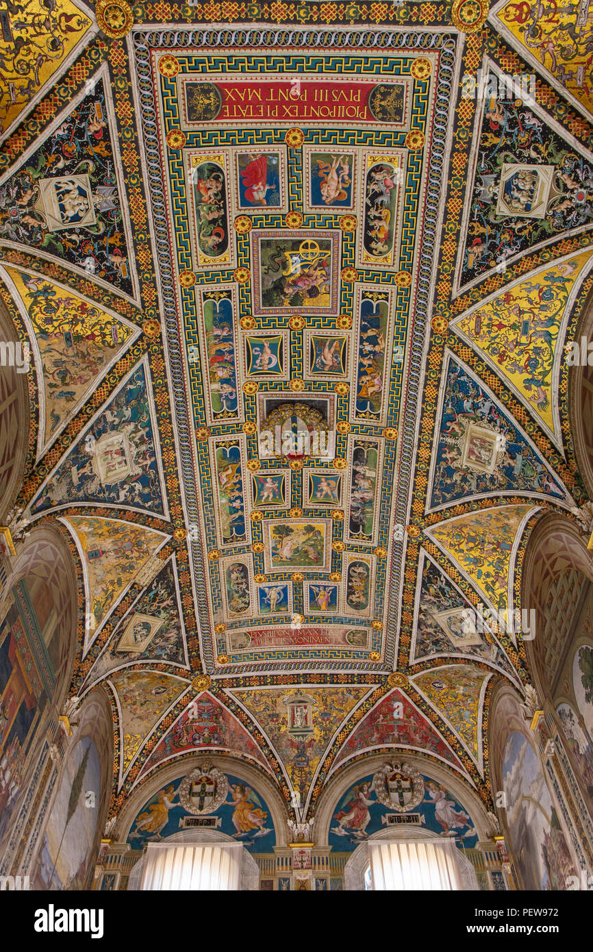 Soffitto della Libreria Piccolomini all'interno del Duomo di Siena, Siena, Toscana, Italia Foto Stock