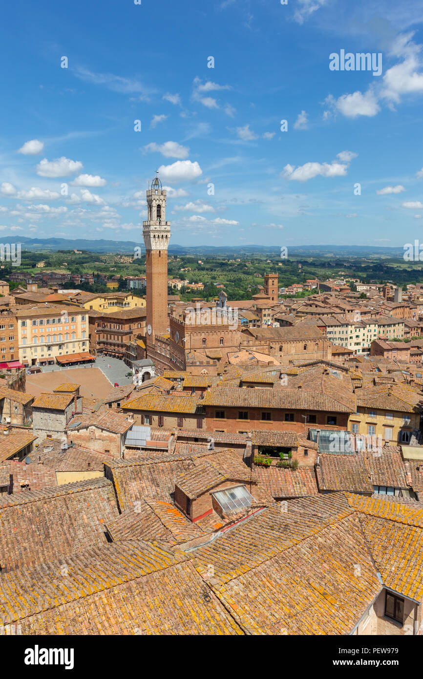 Vista su Piazza del Campo con la Torre del Mangia come visto dal punto di vista al Museo dell'Opera Foto Stock