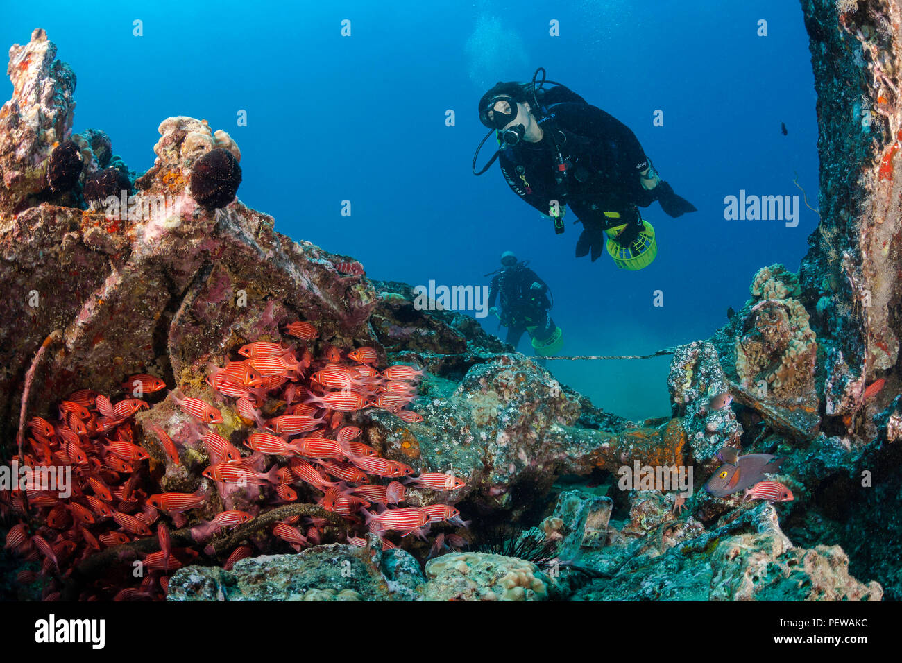 Due sommozzatori (MR) con scooter subacqueo esplorare un WW II landing craft al largo della costa sud di Maui, Hawaii. La scolarizzazione pesci nascondere nel relitto sono Foto Stock