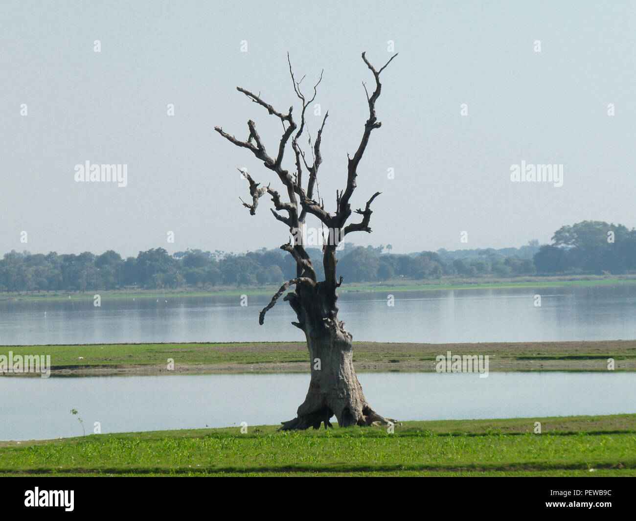 Vista del paesaggio di un solitario albero morto vicino alla U-Bein bridge in Amarapura, Myanmar, con il lago Taungthaman in background Foto Stock