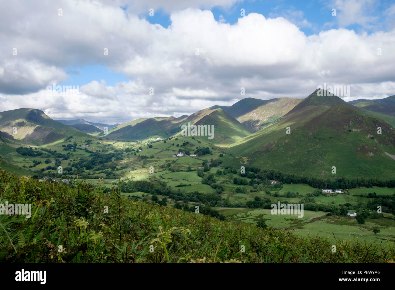 Vista di Newlands Valley da Cat campane, Keswick, Lake District, England, Regno Unito Foto Stock