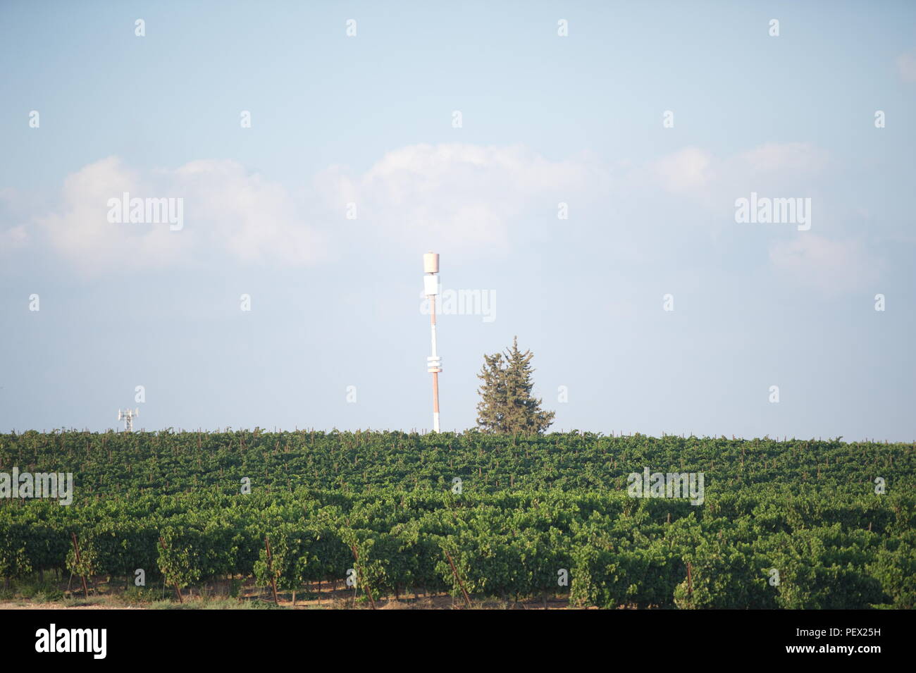 Campo agricolo con antenna del cellulare Foto Stock