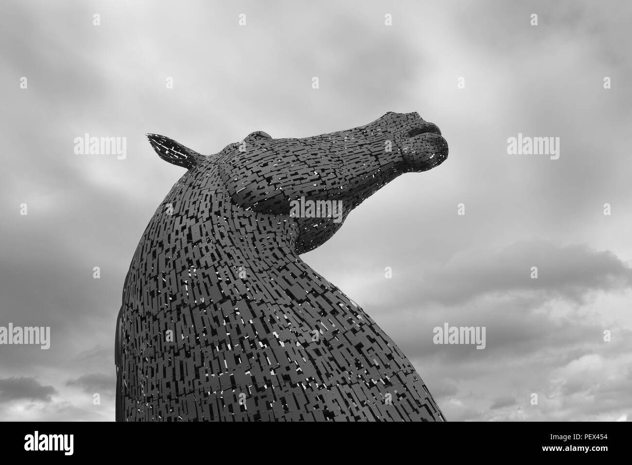 Il kelpies Foto Stock