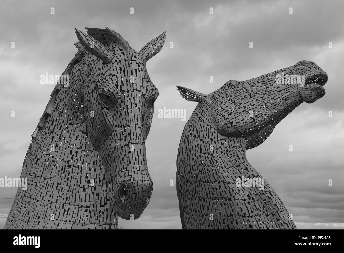 Il kelpies Foto Stock
