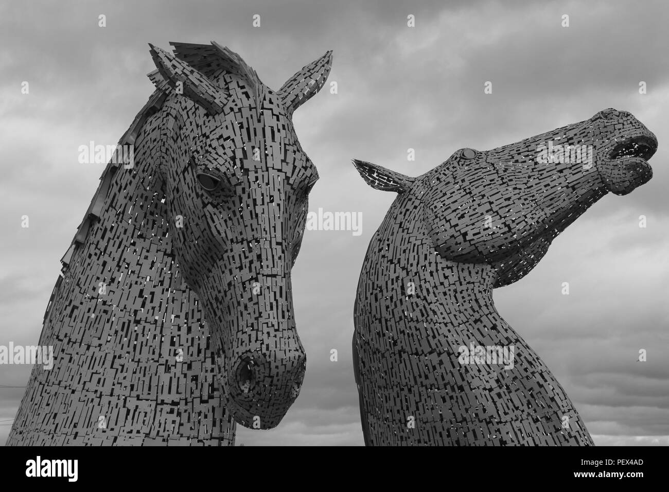 Il kelpies Foto Stock