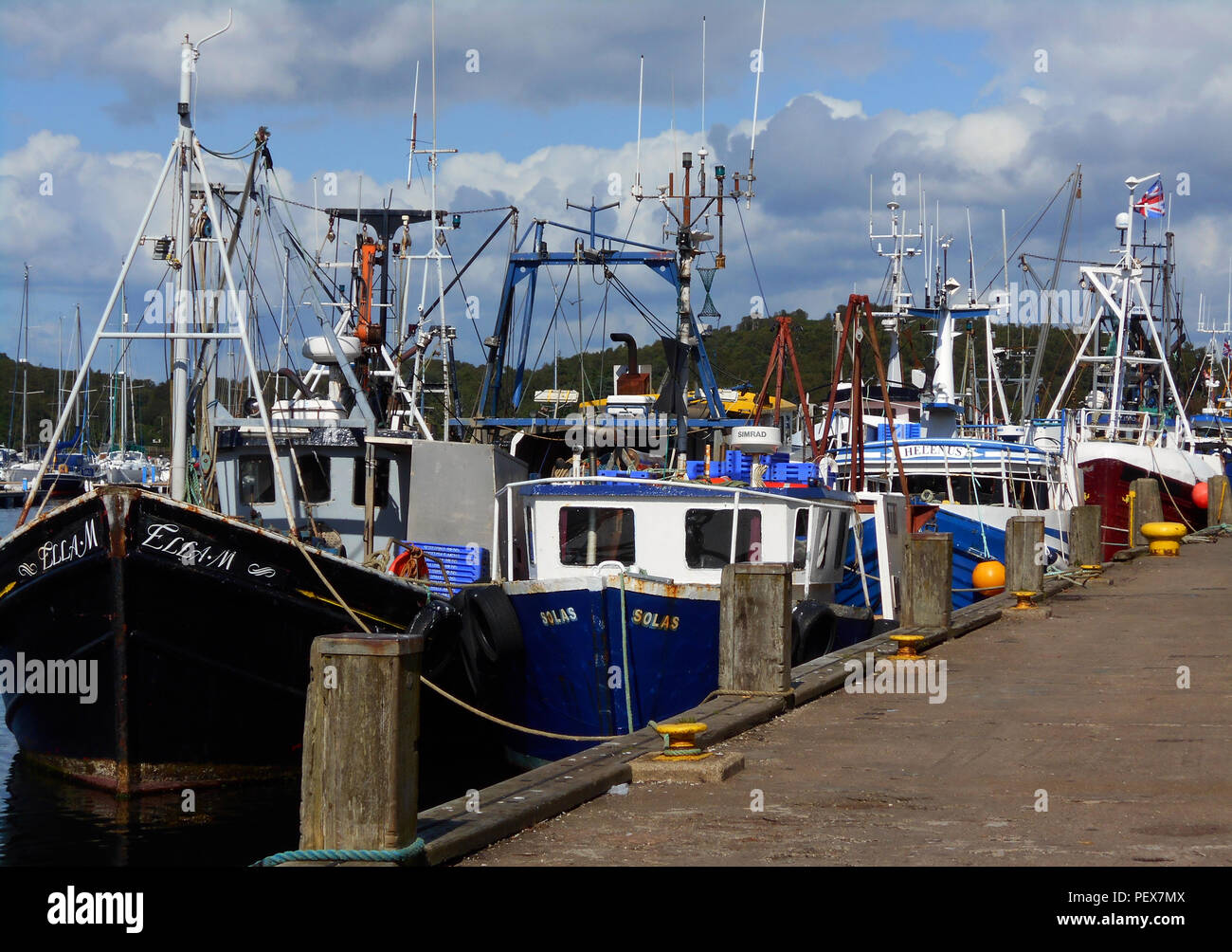 Alcune delle molte barche da pesca, che giungono al piccolo villaggio di pescatori di Tarbert, Loch Fyne, legato lungo la banchina. Foto Stock