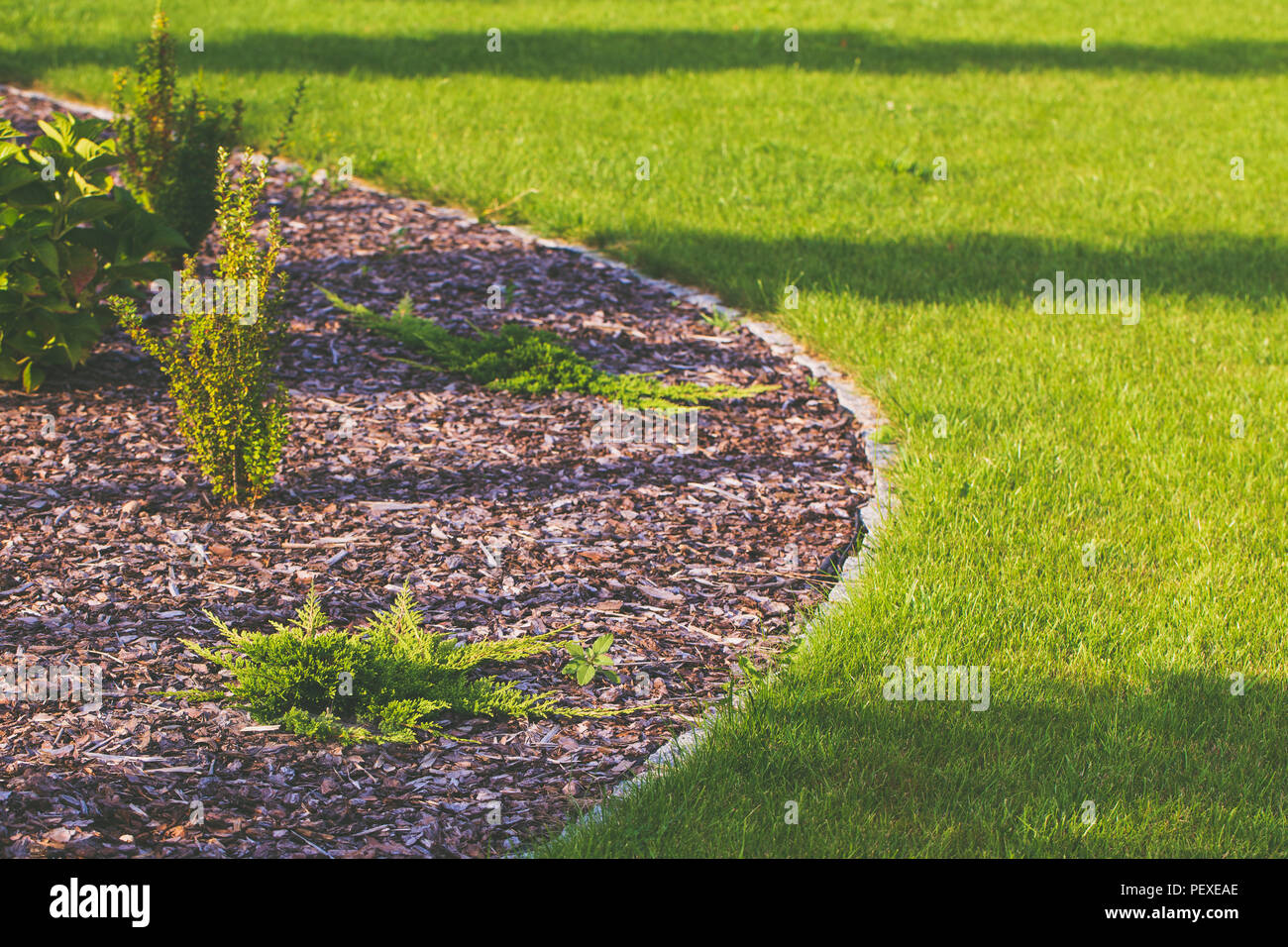 Giardino prato e la corteccia in aiuola. Foto Stock