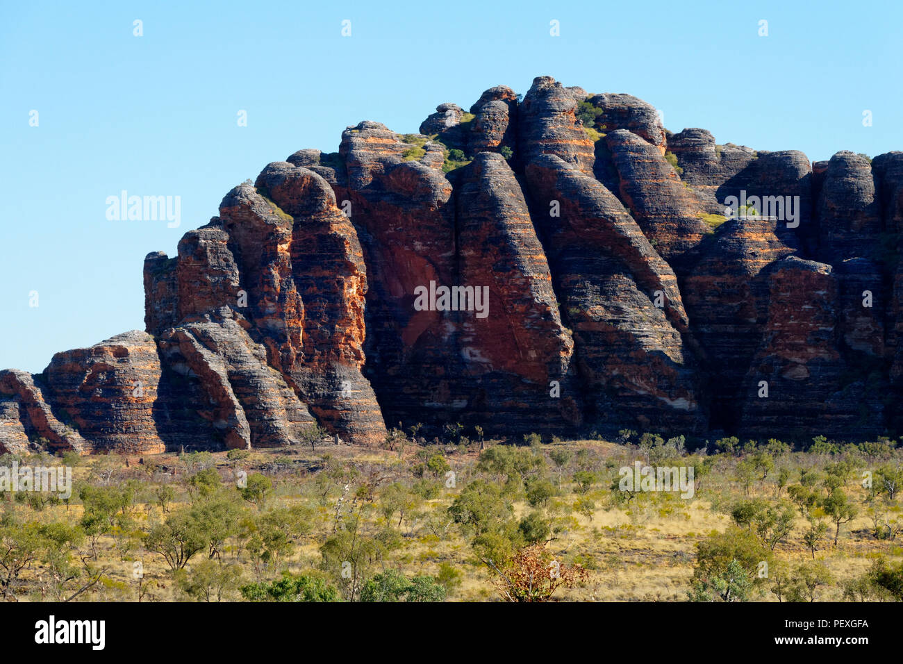 Roccia Arenaria formazione, Parco Nazionale di Purmululu, Kimberley, Northwest Australia Foto Stock