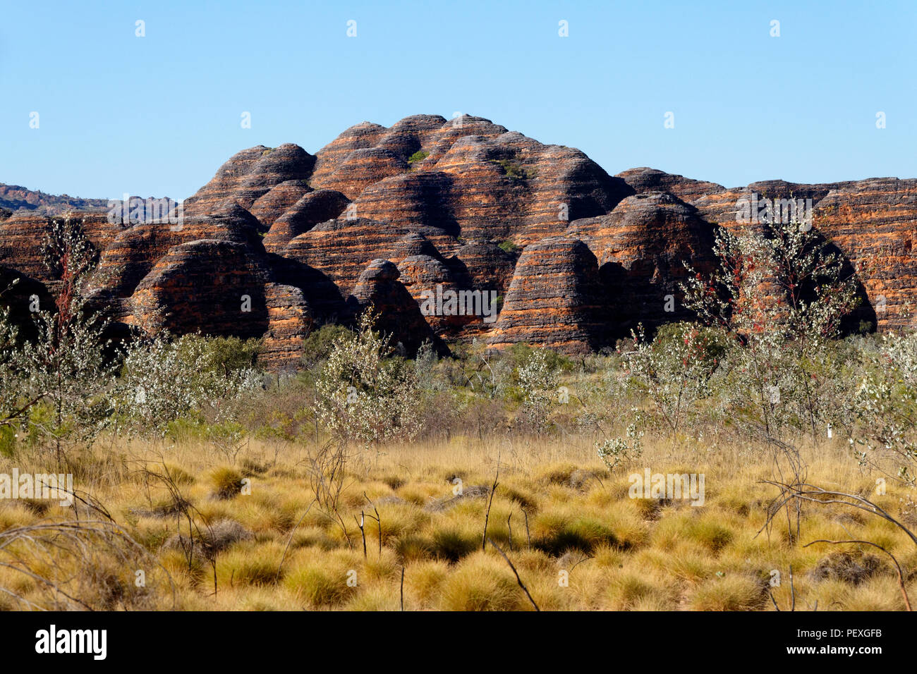 Roccia Arenaria formazione, Parco Nazionale di Purmululu, Kimberley, Northwest Australia Foto Stock