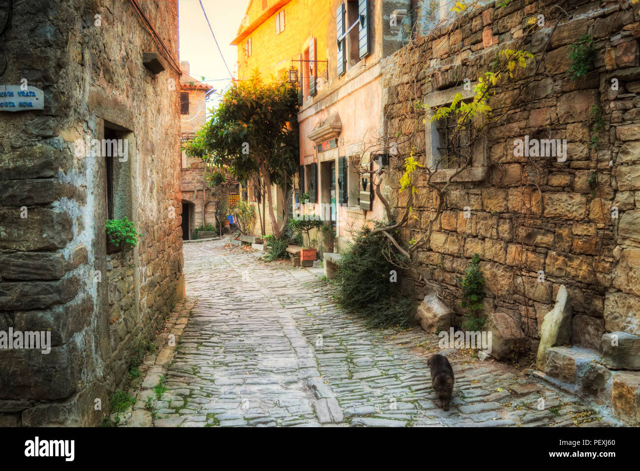 Ingresso alla città vecchia di Grisignana....Istra Croazia Foto Stock