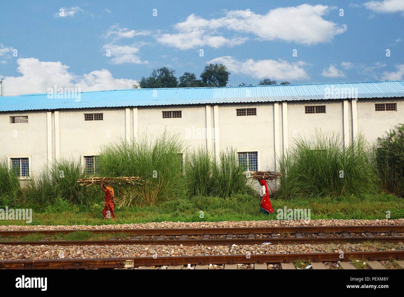 Due donne indiane trasportare il legno a piedi lungo i binari della ferrovia, Jaipur, Rajasthan, India Foto Stock