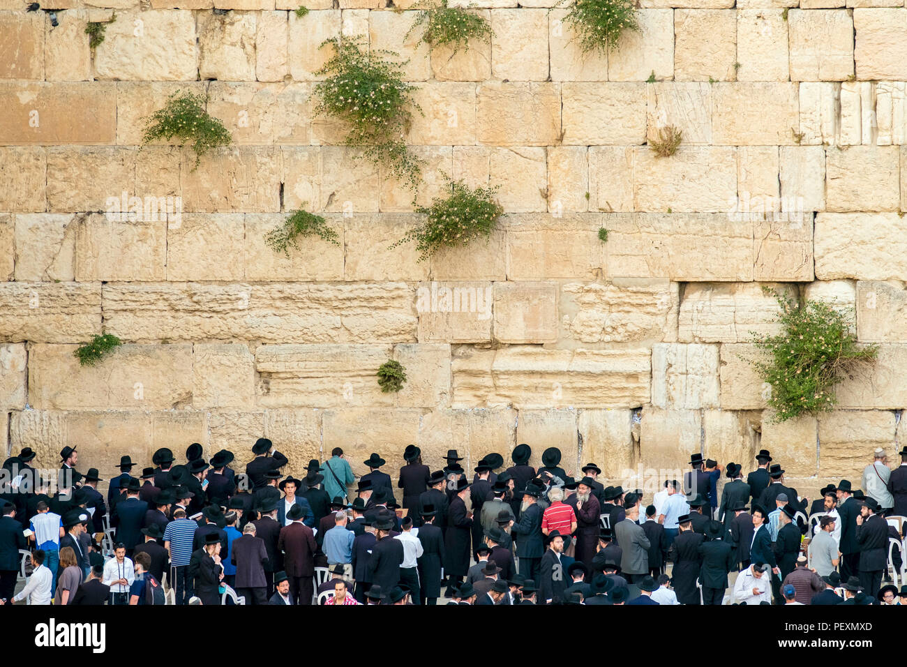 Gli ebrei in preghiera al Muro Occidentale di Gerusalemme, Israele Foto Stock