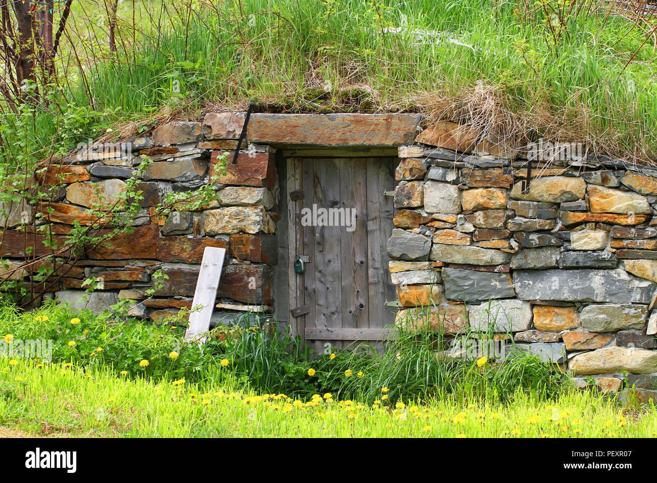 Elliston, Terranova, Canada. La cantina di radice dei capitali del mondo. Foto Stock