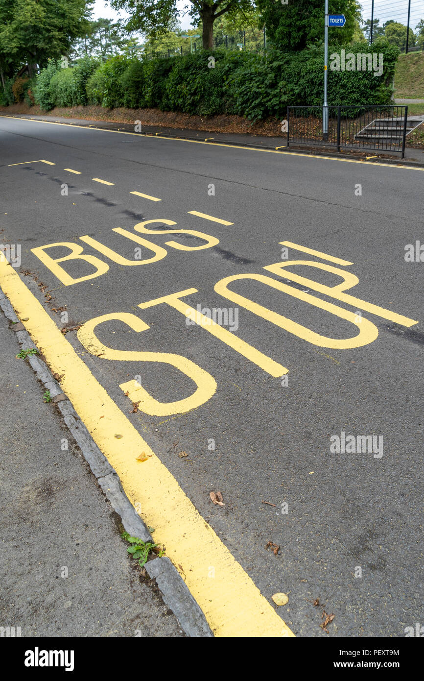Fermata bus giallo marcature sulla strada Foto Stock