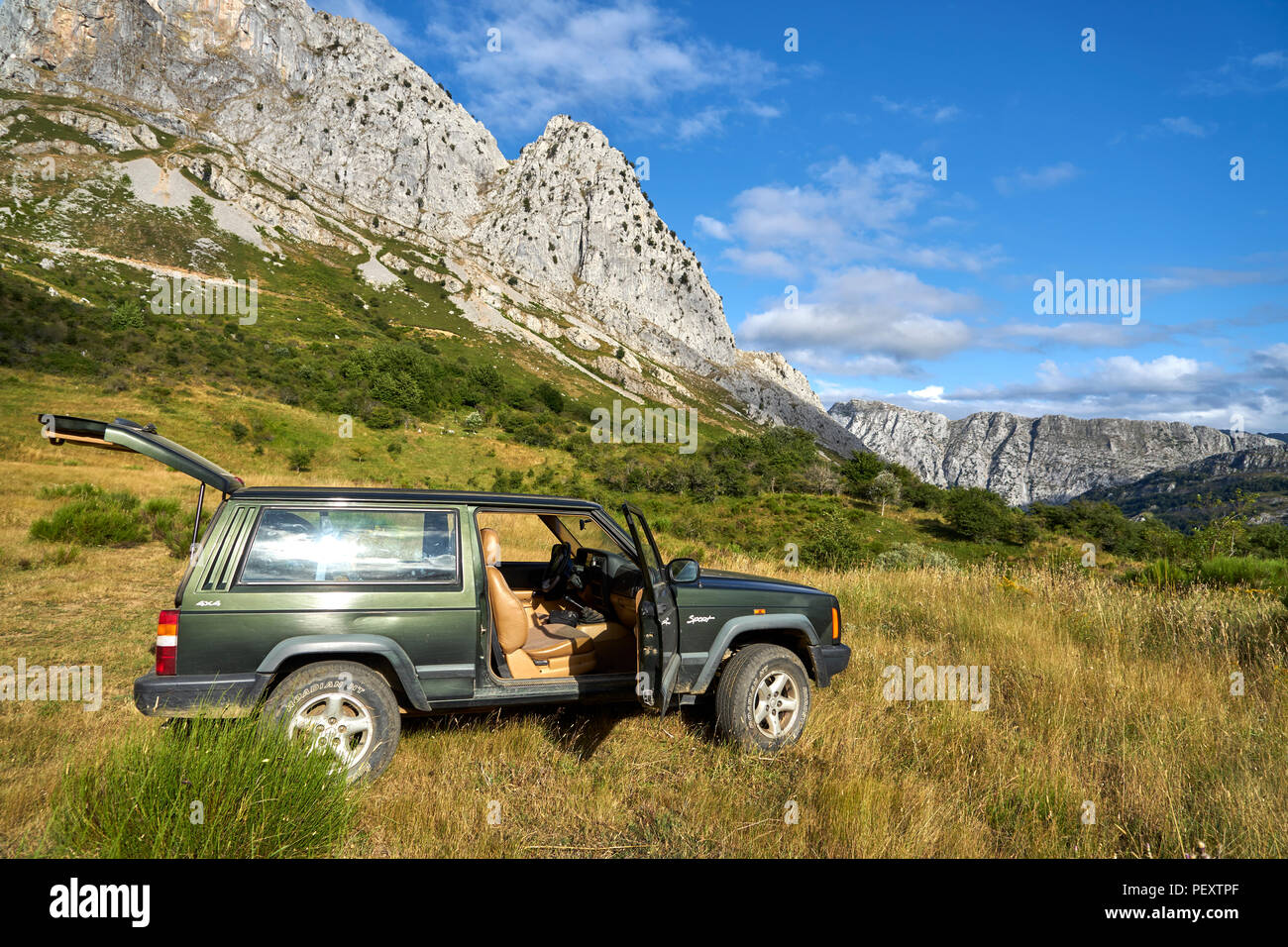 La natura dello sviluppo, ripristino ecologico, rewilding, paesaggio Foto Stock