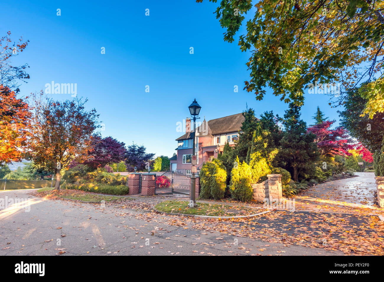 Strada asfaltata in autunno street con alberi e foglie cadute, privato casa residenziale, recinto verde da piante, cancelli, cielo blu Foto Stock
