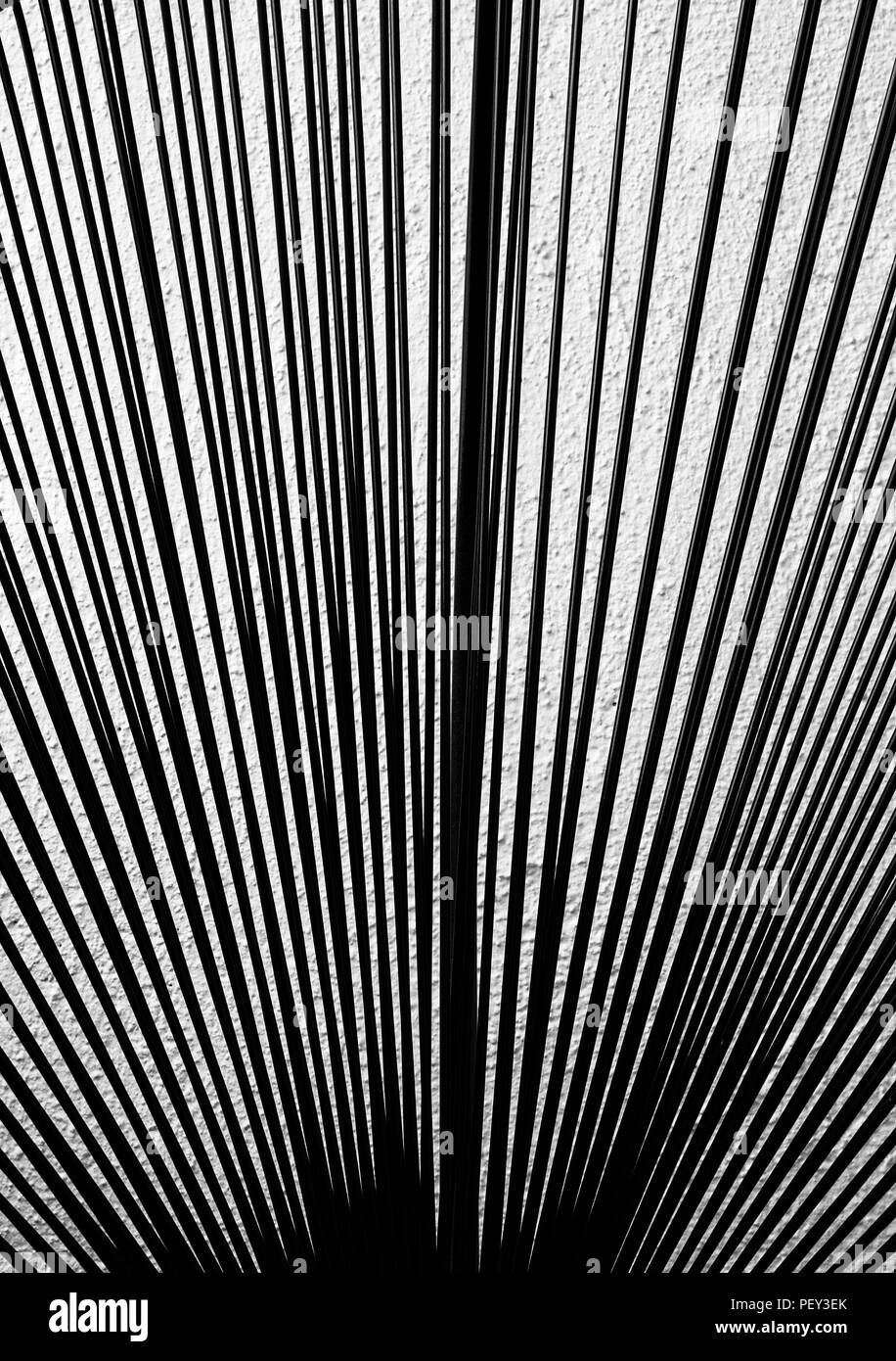 Rigorose linee nero come il pattern su bianco come sfondo Foto Stock