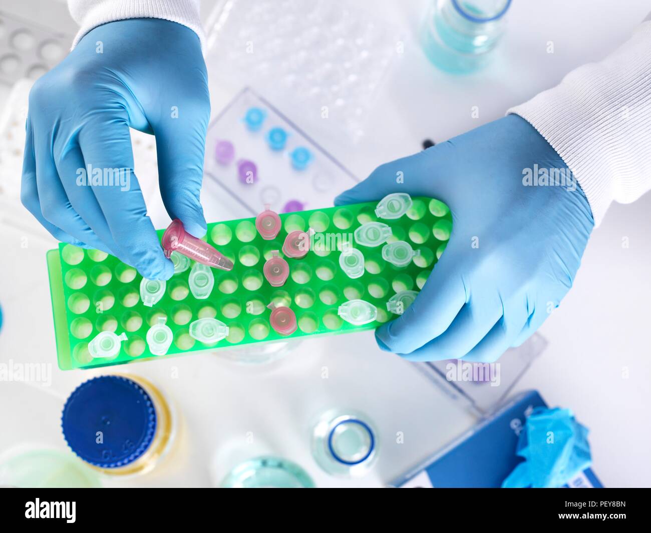 Scienziato preparare un campione in una provetta Eppendorf per analisi chimiche. Foto Stock