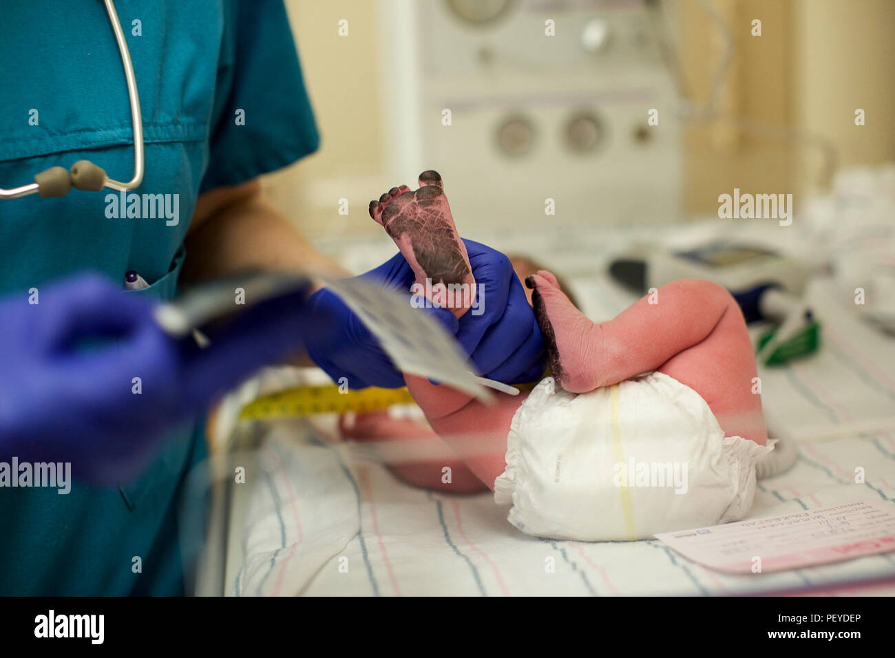 Il neonato in ospedale Foto Stock