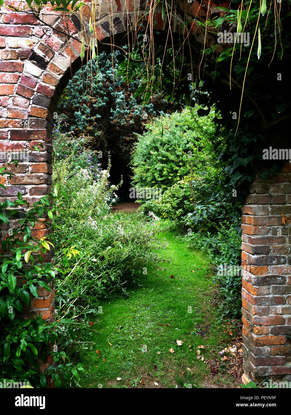 Splendidi vecchi mattoni rossi giardino archway in English country house garden Foto Stock
