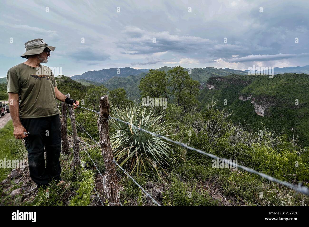 Paolo Hamilton dell'organizzazione biodiversità Grup (https://biodiversitygroup.org) verde paesaggio, vista panoramica della Sierra Madre Occidental e le frazioni di Nacori Chico comune e Mesa Tres Rios in Sonora. Paisaje verde, vista panoramica de la Sierra Madre Occidental y los alrededores del municipio Nacori chico y Mesa Tres Rios en Sonora. (Foto: LuisGutierrez/NortePhoto.com) impianto di maguey, agavue o agavaceae. Vista panoramica della Sierra Madre e le frazioni di Nacori Chico comune. (Foto: LuisGutierrez / NortePhoto.com) planta de maguey, agavue o Foto Stock