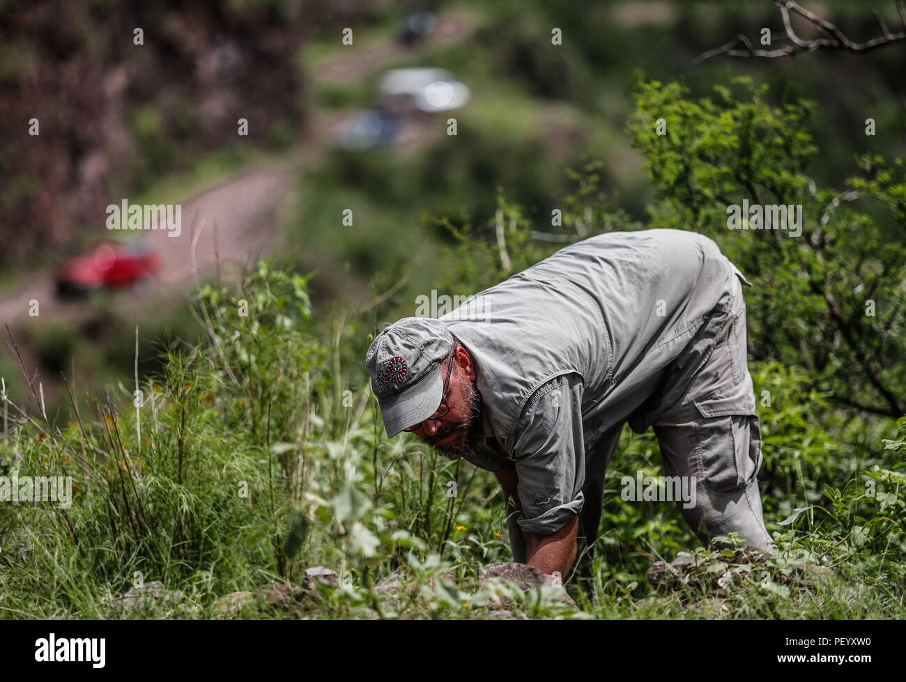 John Eric Falafal di fauna selvatica e di Ecologia della pesca, sul modo di Mesa Tres Rios. John Eric Falafal de la fauna selvatica e di Ecologia della pesca en el camino una Mesa Tres Rios. (Foto: LuisGutierrez/NortePhoto.com) Expedición scoperta Madrense de GreaterGood ORG que recaba datos que sirven como información de referencia para entender mejor las Relaciones biológicas del Archipiélago Madrense y se usan para proteger y conservar las tierras vírgenes de las Islas Serranas Sonorenses. Expedición binacional aye une un colaboradores de México y Estados Unidos con experiencias y especialidades de las cienci Foto Stock