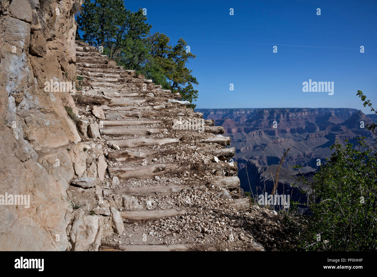 AZ00312-00...ARIZONA - Il GrandView Trail lungo il bordo della scogliera ripida nel Parco Nazionale del Grand Canyon. Foto Stock