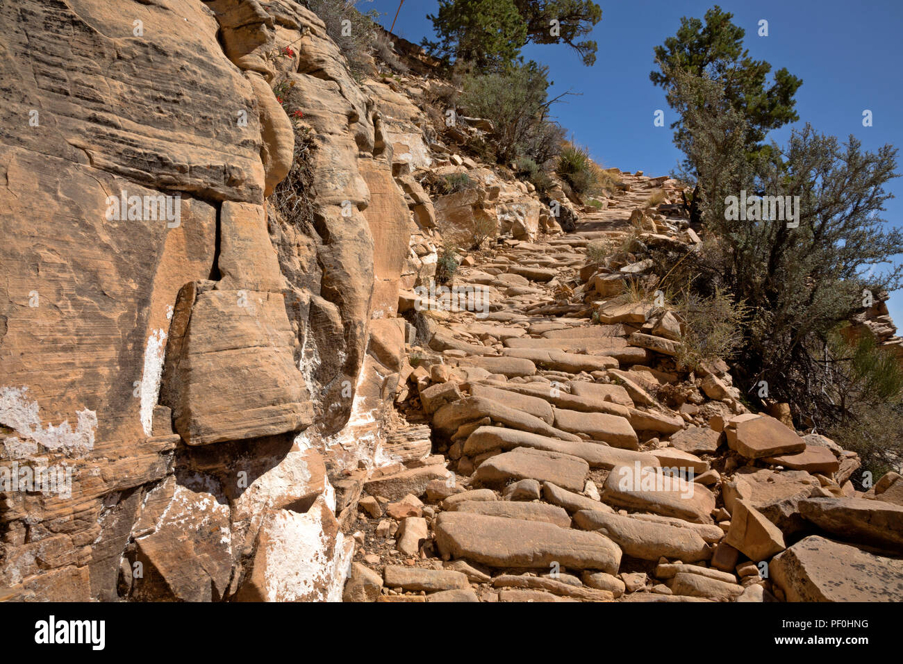 AZ00316-00...ARIZONA - Il GrandView Trail in un ripido tratto coperto con ciottoli nel parco nazionale del Grand Canyon. Foto Stock