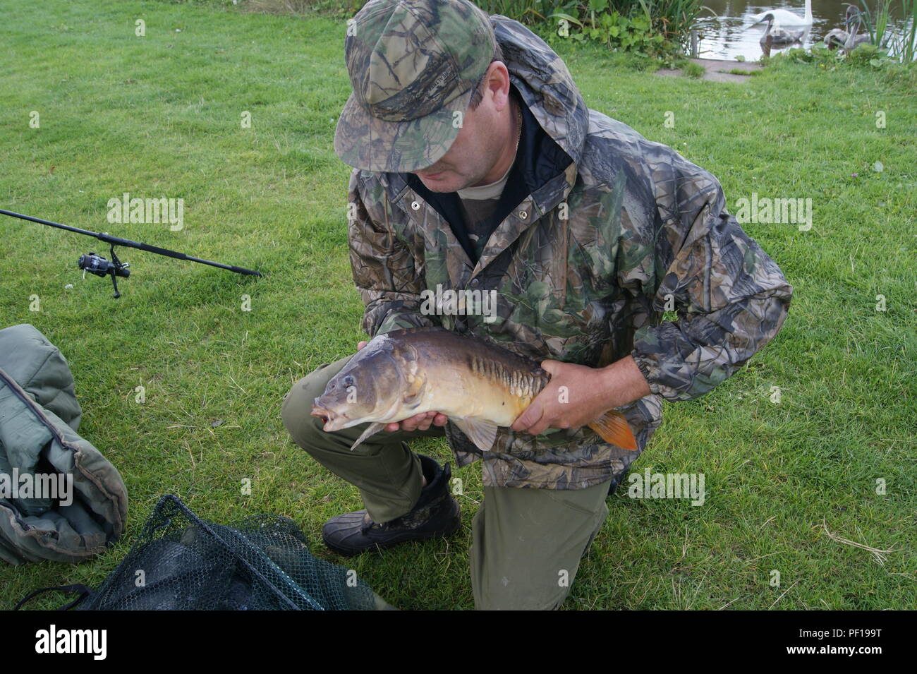 La pesca alla carpa, Warwickshire, Regno Unito Foto Stock