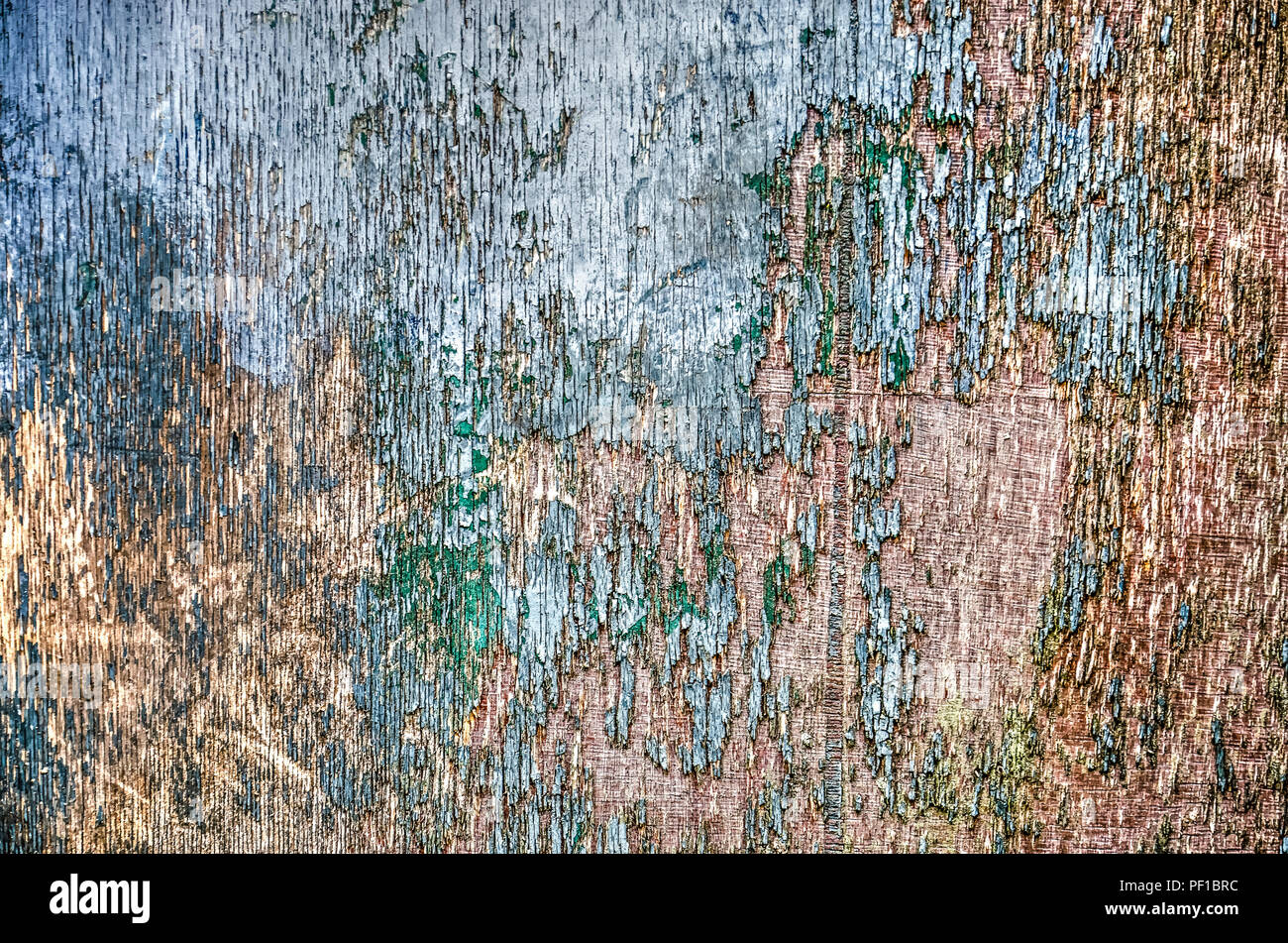 Close-up di un pezzo di legno compensato spiovente con riflessi verdognoli vernice blu in un avanzato stato di sfogliatura Foto Stock