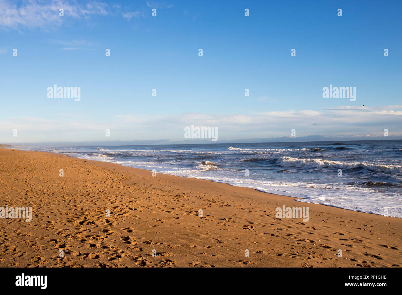 Vista della costa a a Balmedie Beach Foto Stock