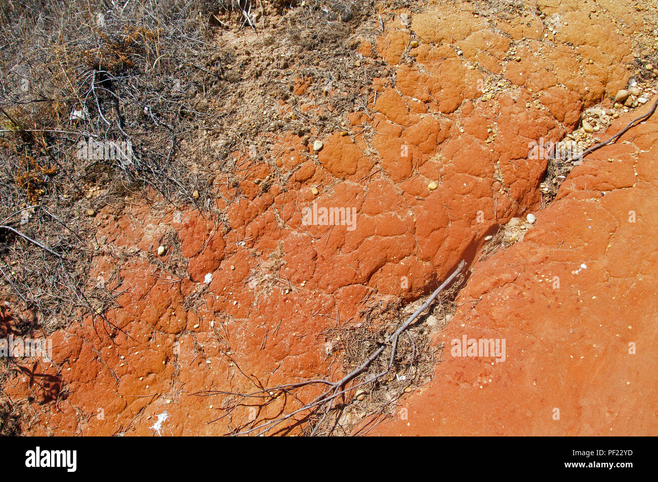 La terra rossa del deserto con massa a secco di erba grigio, estate, Portogallo Foto Stock