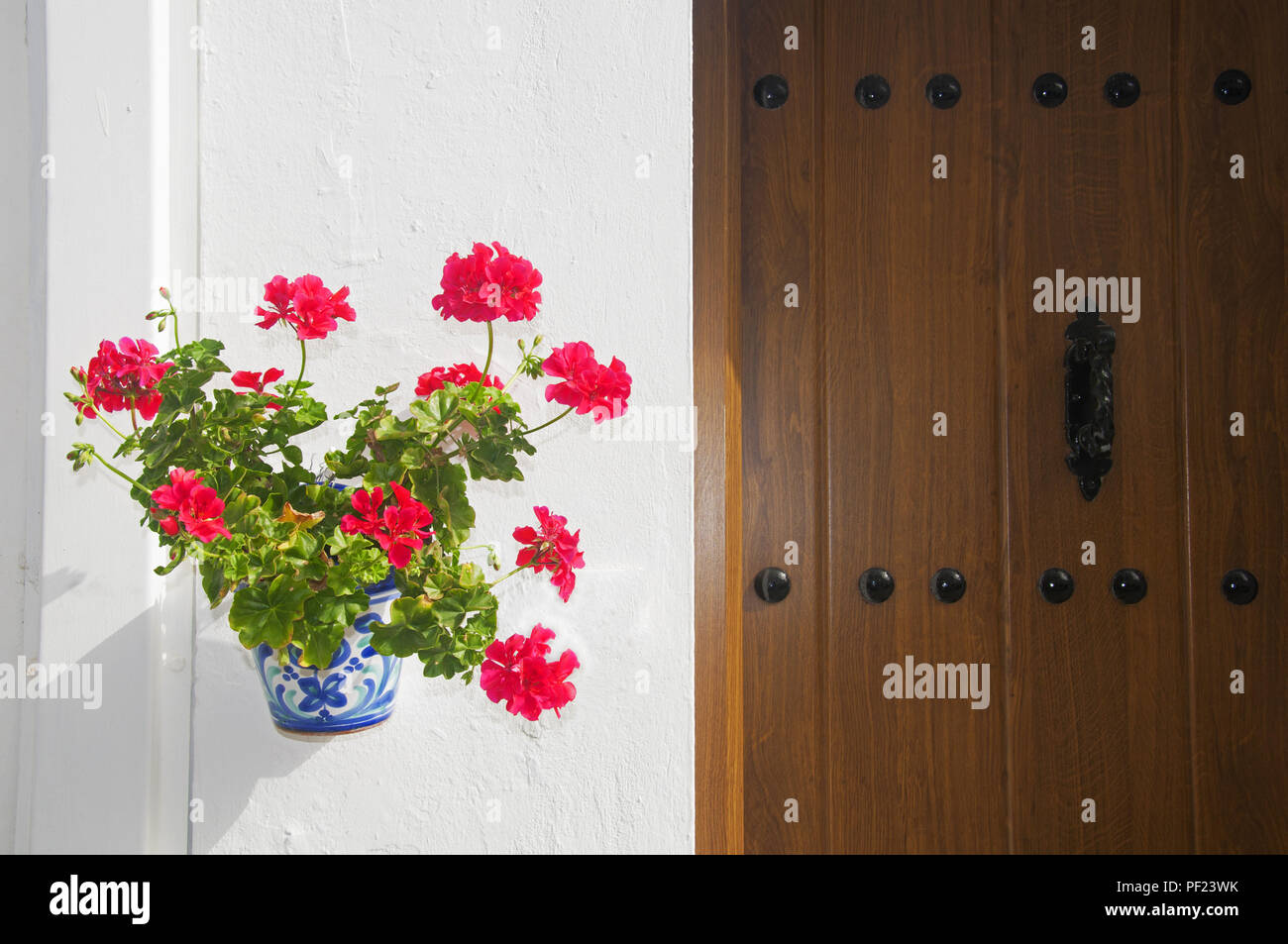 Vaso con fiori di colore rosso sul muro bianco e porta di legno, estate, Spagna Foto Stock