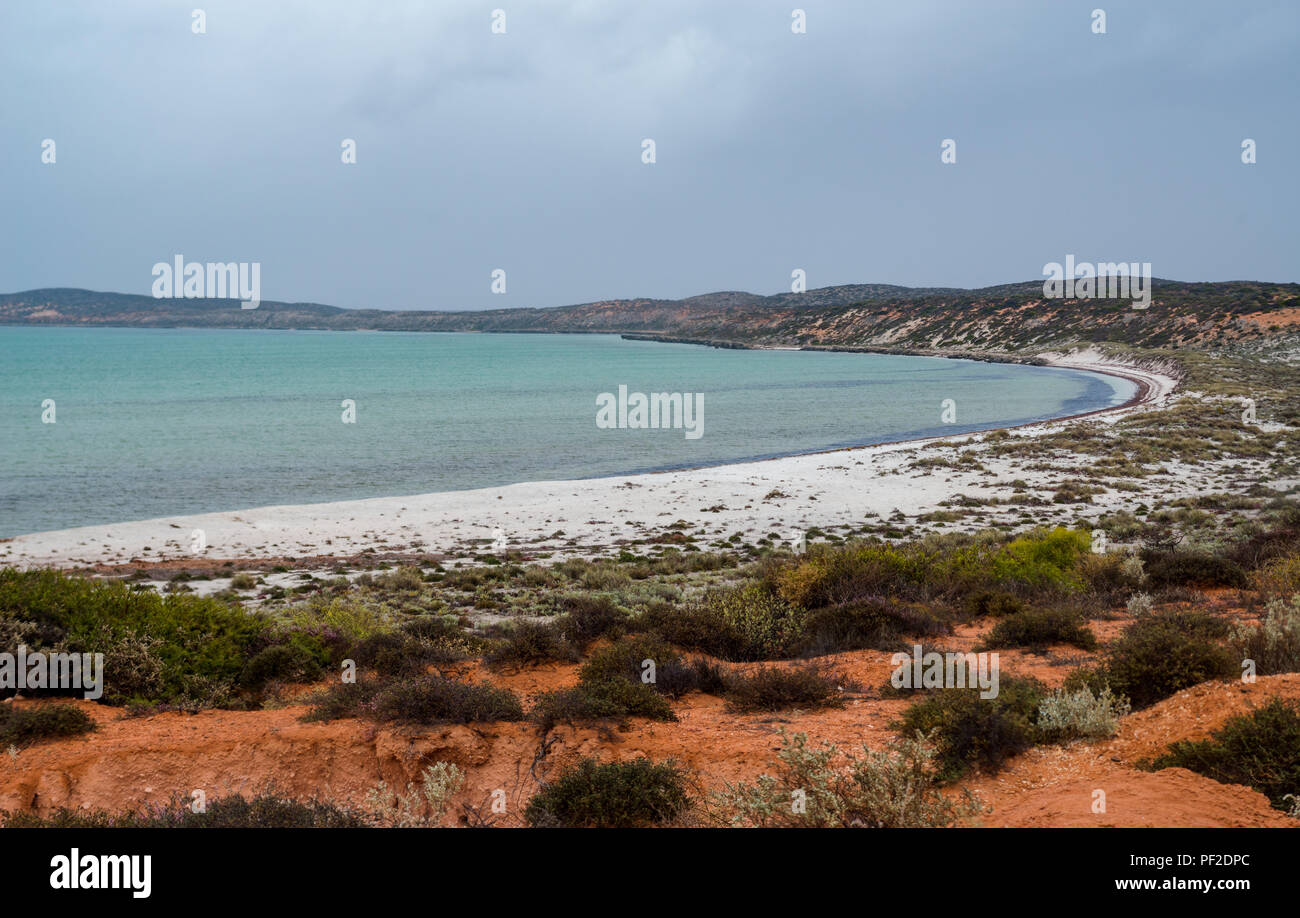 A riva e spiaggia in un giorno nuvoloso, a Shark Bay, Australia occidentale, WA, Oceania Foto Stock