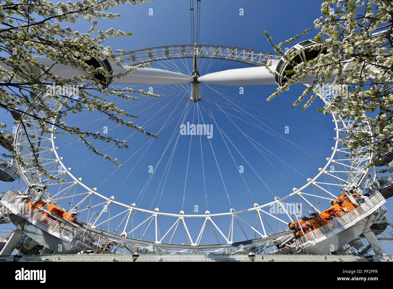 Il London Eye ruota panoramica Ferris, London, England, Regno Unito Foto Stock