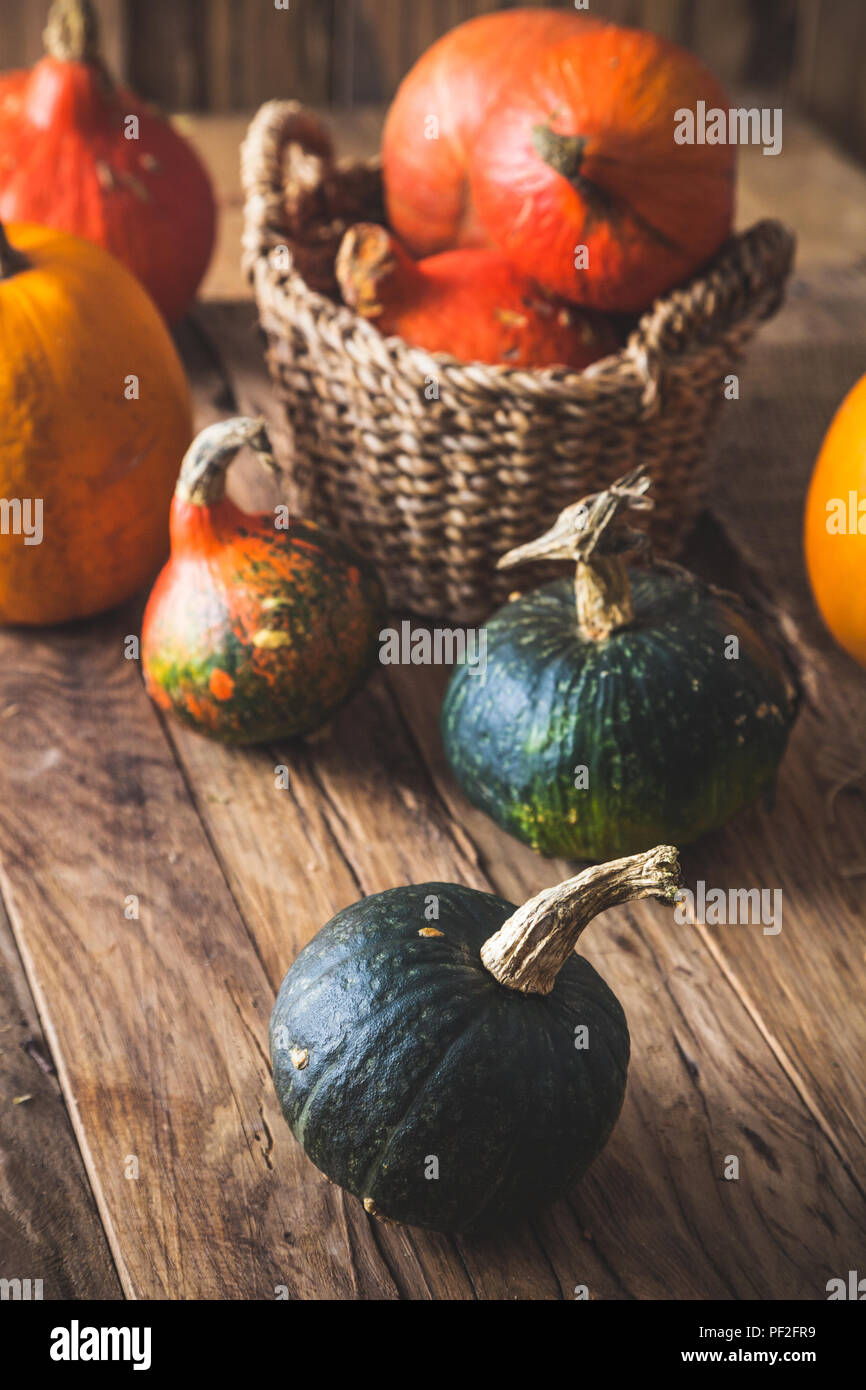 Cena di ringraziamento concetto. Zucche sul legno vecchio Foto Stock