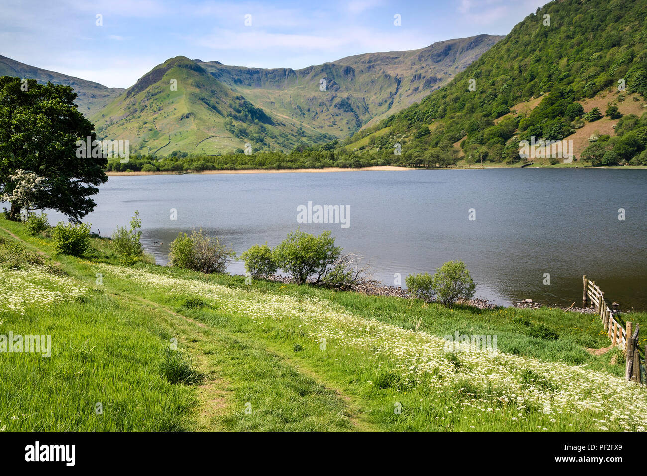 Fratelli acqua e la vista verso l'alto Hartsop Dodd e il crinale di Colomba roccioso, Lake District, Cumbria, Regno Unito Foto Stock