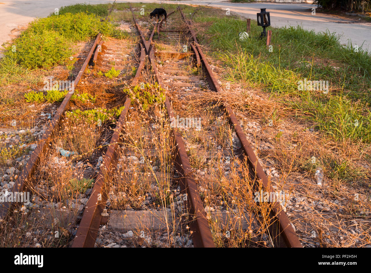 Il commutatore binario Foto Stock