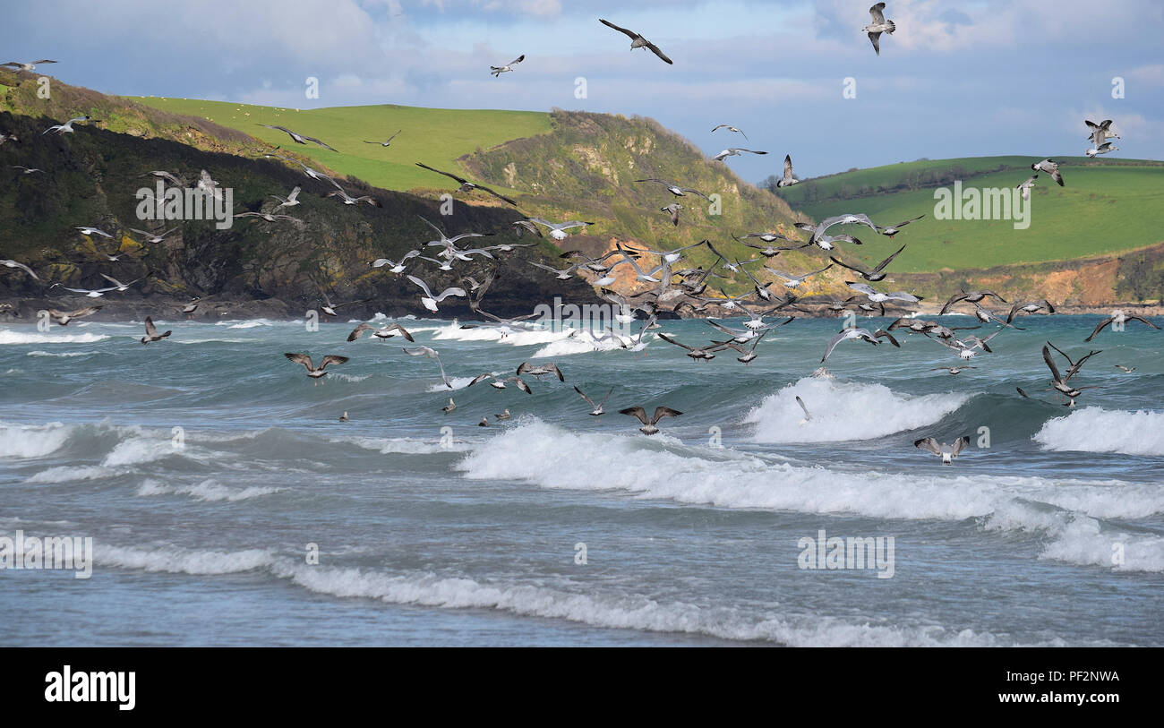 Pentewan Sands, Pentewan, Cornwall, 050218 Foto Stock