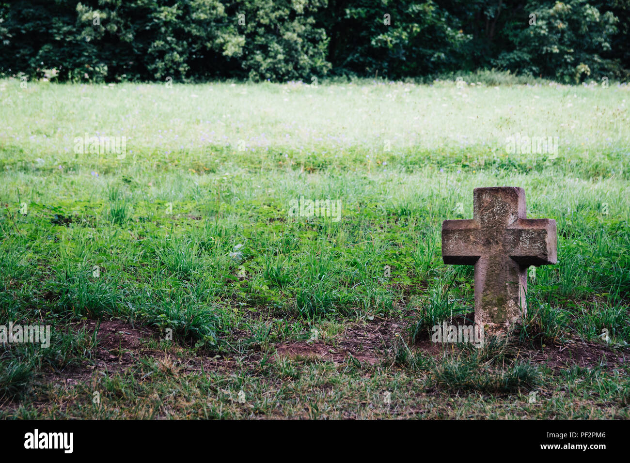 Simbolo di una vecchia croce di una religione cristiana in un terreno. L'erba verde intorno, alberi sullo sfondo, bella gradazione di colori. Foto Stock