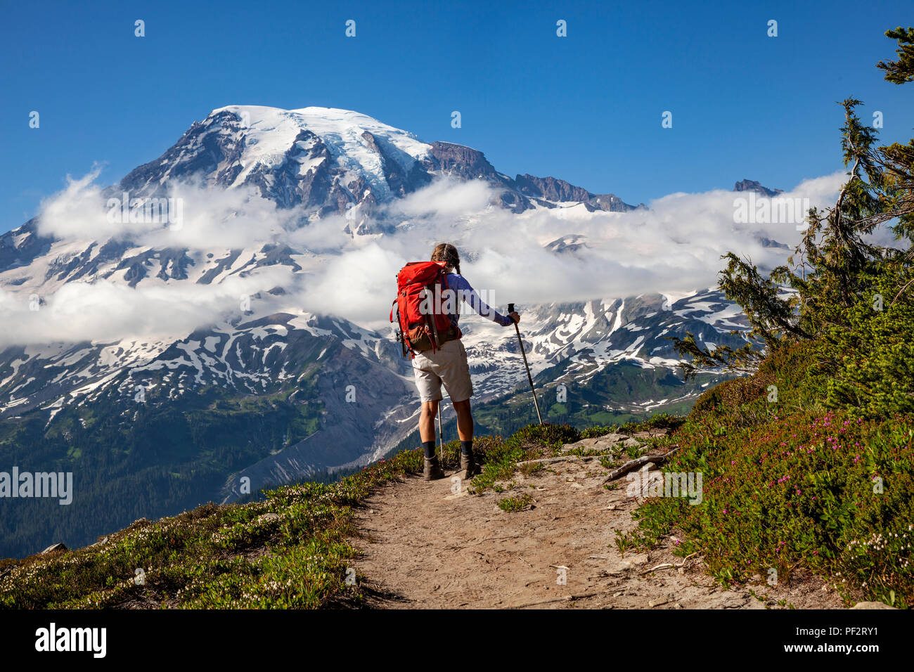 WA14711-00...WASHINGTON - escursionista nella gamma Tatoosh con il Monte Rainier nella distanza, il Parco Nazionale del Monte Rainier. (MR# S1) Foto Stock