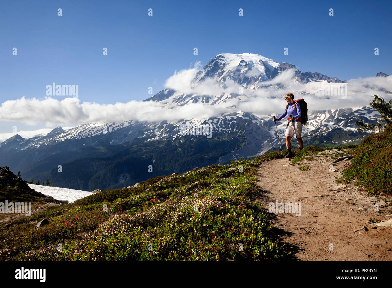 WA14713-00...WASHINGTON - escursionista nella gamma Tatoosh con il Monte Rainier nella distanza, il Parco Nazionale del Monte Rainier. (MR# S1) Foto Stock