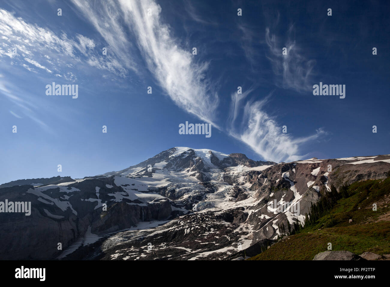 WA14775-00...WASHINGTON - Mount Rainier visto dal ghiacciaio Vista vicino a Paradise in Mount Rainier National Park Foto Stock