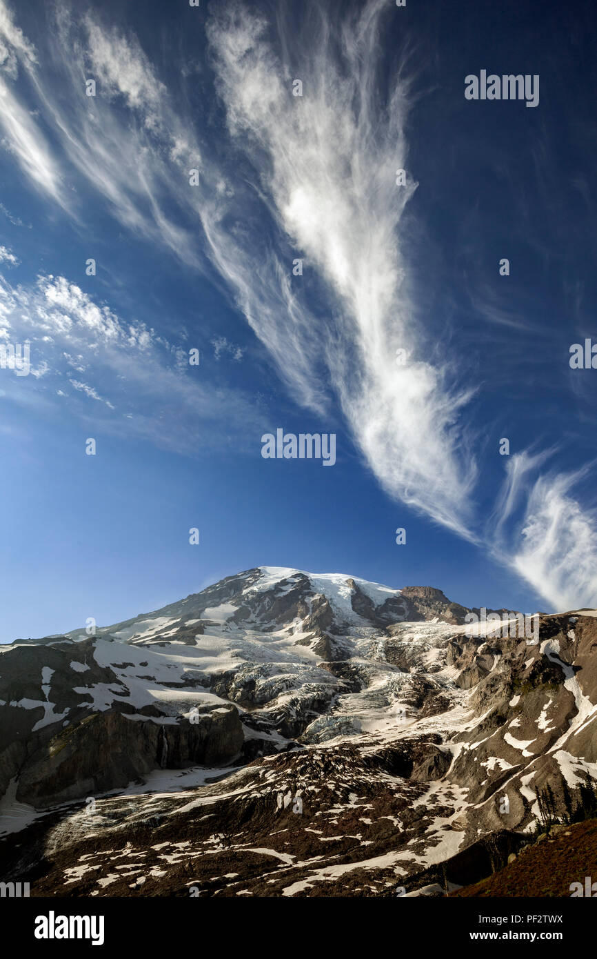 WA14776-00...WASHINGTON - Vista del Monte Rainier dal ghiacciaio Vista vicino Paradide in Mountain Rainer National Park. Foto Stock