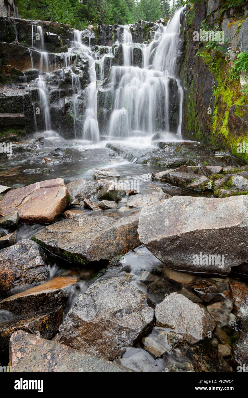 WA14791-00...WASHINGTON - Sunbeam Creek lungo il Canyon Stevens Road in Mount Rainier National Park. Foto Stock